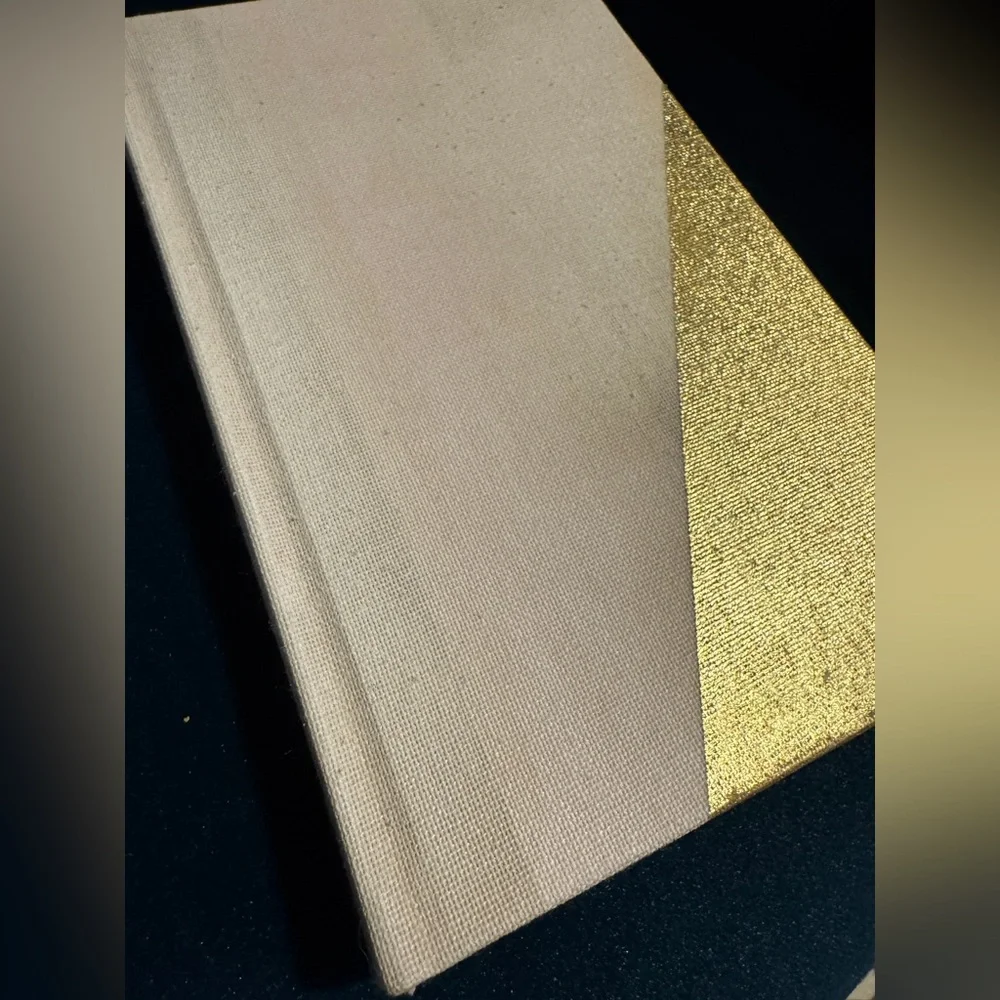 Dwell Studio Gold Leaf Gilt Edge Dot Grid Gold Light Pink Set of 3 Journals NEW